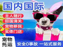 库车龟兹航空货运国际宠物托运 【国